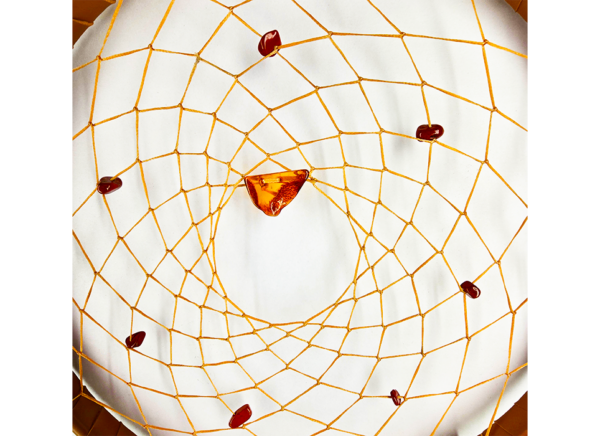 A closeup of baltic amber on the centerpiece of a dream catcher, surrounded by smaller brown stones.
