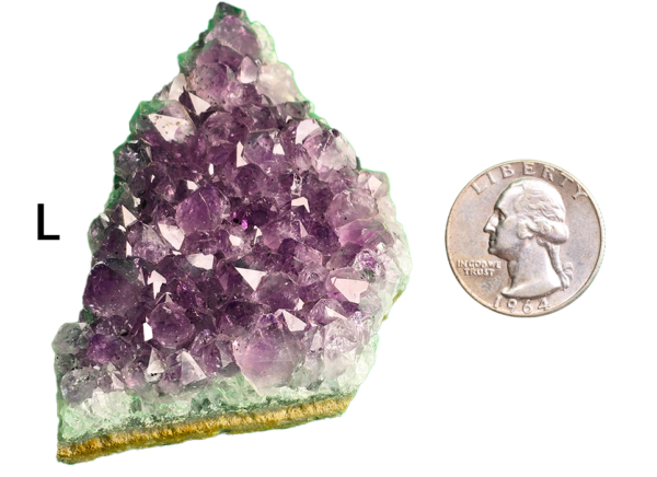 Amethyst cluster 'L' with a quarter for comparison.