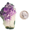 Amethyst cluster 'B' with a quarter for comparison.