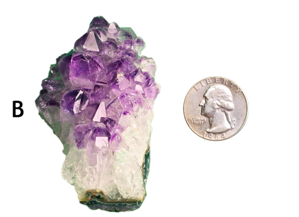 Amethyst cluster 'B' with a quarter for comparison.