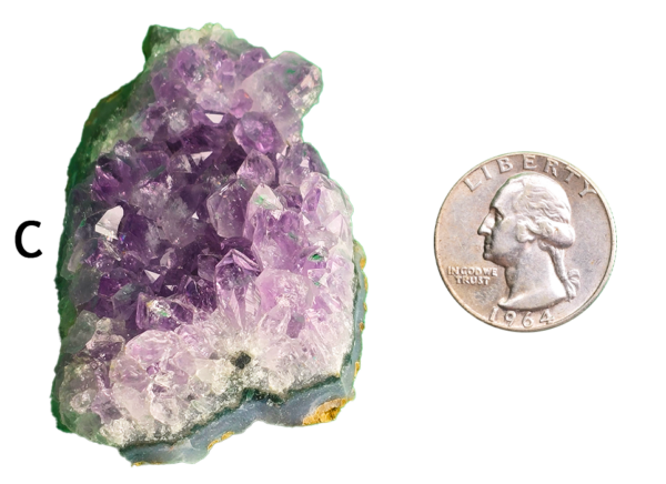 Amethyst cluster 'C' with a quarter for comparison.