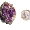 Amethyst cluster 'E' with a quarter for comparison.