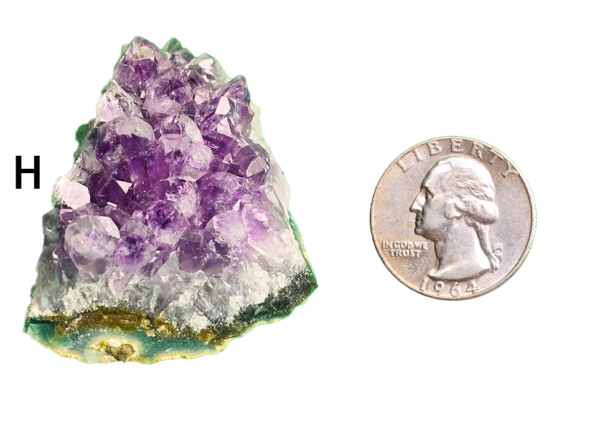 Amethyst cluster 'H' with a quarter for comparison.