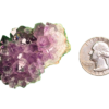 Amethyst cluster 'O' with a quarter for comparison.