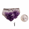 Amethyst cluster 'I' with a quarter for comparison.