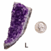 Amethyst cluster 'L' with a quarter for comparison.