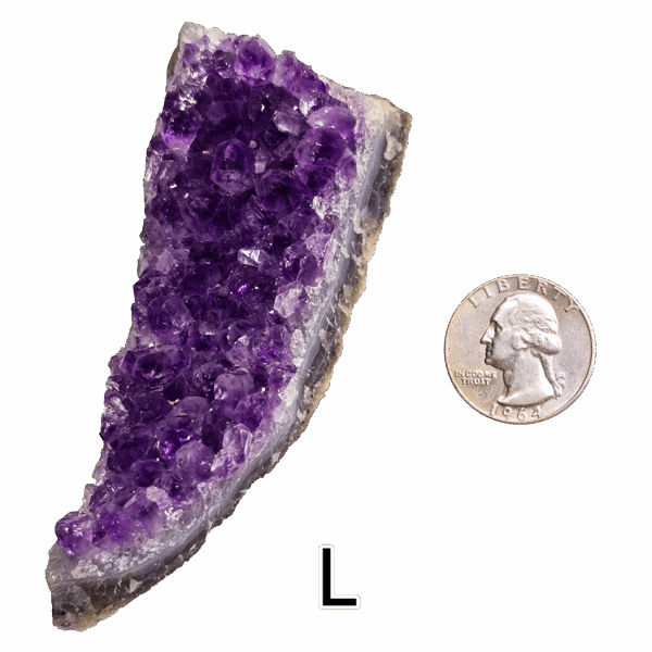 Amethyst cluster 'L' with a quarter for comparison.