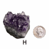 Amethyst cluster 'H' with a quarter for comparison.