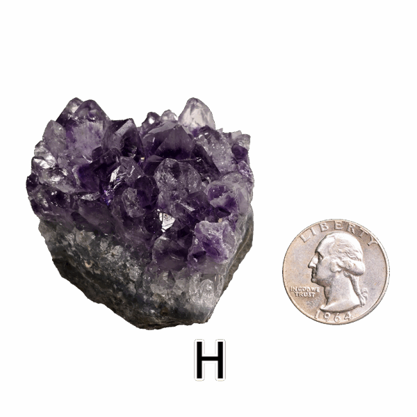 Amethyst cluster 'H' with a quarter for comparison.