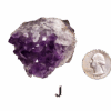 Amethyst cluster 'J' with a quarter for comparison.