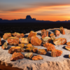A group shot of many Arizona petrified wood chunks showing a range of brownish red, tans, some with complex coloring. They are on display on a rock in the desert with a sunset in the background.