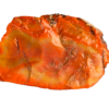 An Arizona Petrified wood chunk, displaying a wide range of colors.