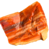 An Arizona Petrified wood chunk, displaying a wide range of colors.