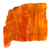 An Arizona Petrified wood chunk, displaying a wide range of colors.