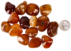 A pile of tumbled carnelian medium, with different shades of a brown honey color with some tranclucency to the polished stones, and a quarter for comparison. Most are the same size or larger than the quarter.
