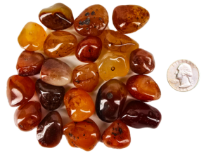 A pile of tumbled carnelian medium, with different shades of a brown honey color with some tranclucency to the polished stones, and a quarter for comparison. Most are slighlty smaller than the quarter.