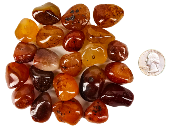 A pile of tumbled carnelian medium, with different shades of a brown honey color with some tranclucency to the polished stones, and a quarter for comparison. Most are slighlty smaller than the quarter.