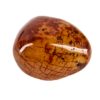 A closeup of a small carnelian polished ston, with a dark brown pattern of lines in the stone.