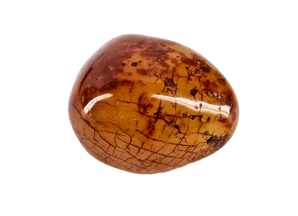A closeup of a small carnelian polished ston, with a dark brown pattern of lines in the stone.