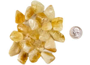 A pile of small tumbled citrine, with a light hone color, with some milky white, and translucency to the stones, with a quarter for comparison. All are slightly smaller than the quarter.