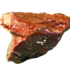 A lacquer-polished chunk of Arizona petrified wood with varying colors.