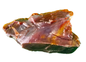A lacquer-polished chunk of Arizona petrified wood with varying colors.