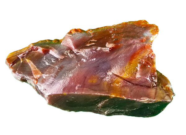 A lacquer-polished chunk of Arizona petrified wood with varying colors.