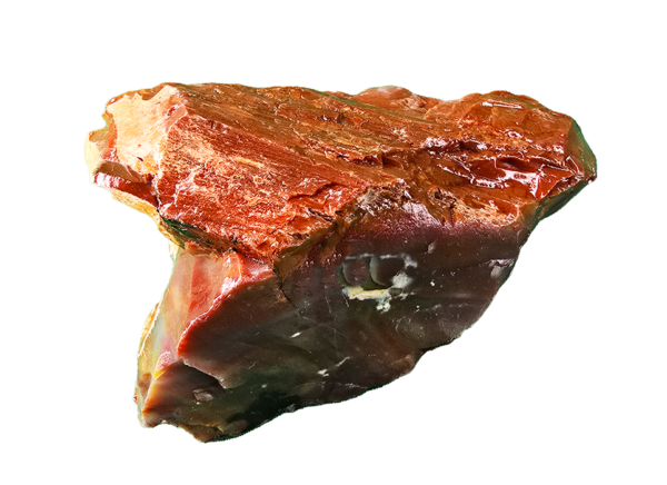 A lacquer-polished chunk of Arizona petrified wood with varying colors.