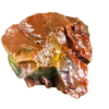 A lacquer-polished chunk of Arizona petrified wood with varying colors.