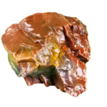 A lacquer-polished chunk of Arizona petrified wood with varying colors.