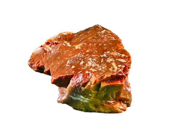 A lacquer-polished chunk of Arizona petrified wood with varying colors.