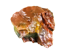A lacquer-polished chunk of Arizona petrified wood with varying colors.
