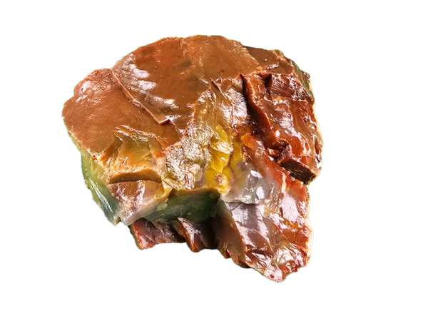 A lacquer-polished chunk of Arizona petrified wood with varying colors.
