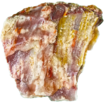 A lacquer-polished chunk of Arizona petrified wood with rich varying colors.