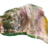 A lacquer-polished chunk of Arizona petrified wood with varying colors.