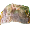 A lacquer-polished chunk of Arizona petrified wood with rich varying colors.