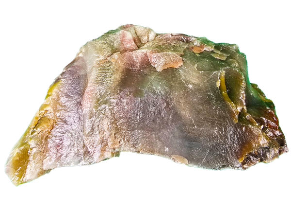 A lacquer-polished chunk of Arizona petrified wood with rich varying colors.