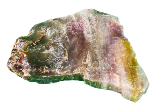 A lacquer-polished chunk of Arizona petrified wood with varying colors.