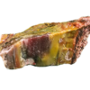 A lacquer-polished chunk of Arizona petrified wood with rich varying colors.