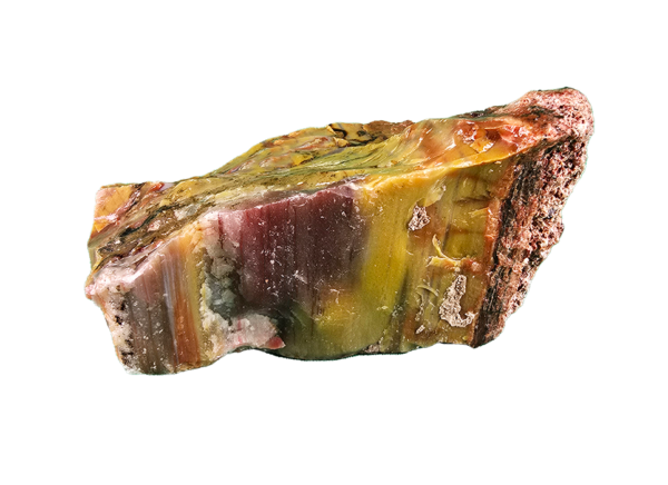 A lacquer-polished chunk of Arizona petrified wood with rich varying colors.