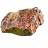 A lacquer-polished chunk of Arizona petrified wood with rich varying colors.