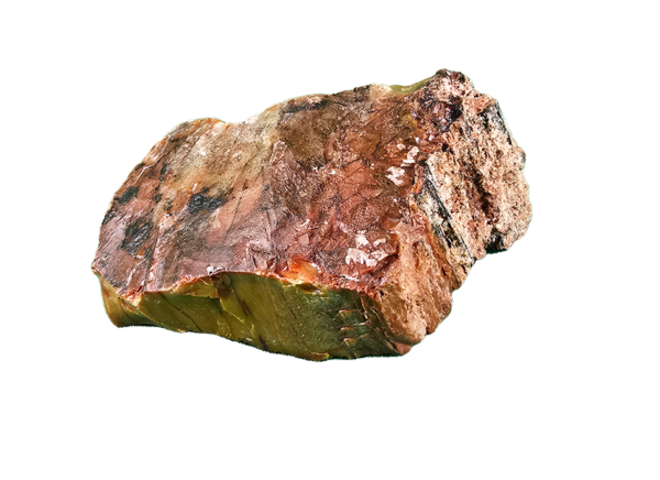 A lacquer-polished chunk of Arizona petrified wood with rich varying colors.