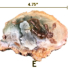 A large Madagascar Petrified wood slab labeled 'E', size says 4.75 inches.
