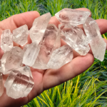 A group of roughly 12 clear quartz crystal points in the palm of a hand with a grass background.