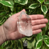 A large clear quartz point in the palm of a hand with a green, leafy background. It is quite large. Labeled 'B'.