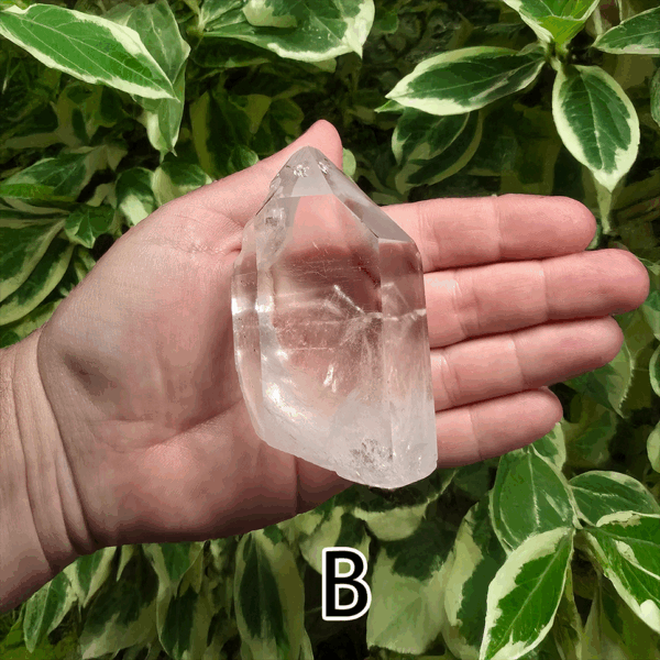 A large clear quartz point in the palm of a hand with a green, leafy background. It is quite large. Labeled 'B'.
