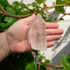 A large clear quartz point in the palm of a hand with a green, leafy background. It is quite large. Labeled 'E'.