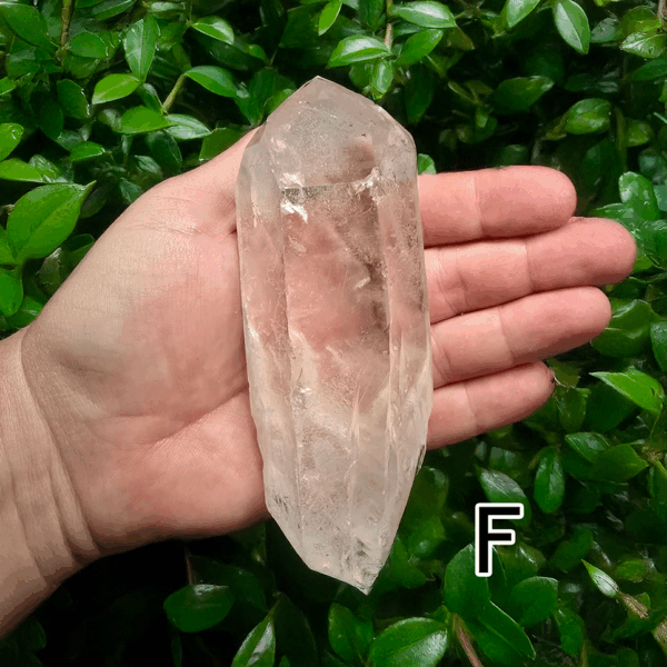 A large clear quartz point in the palm of a hand with a green, leafy background. It is quite large. Labeled 'F'.