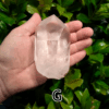 A large clear quartz point in the palm of a hand with a green, leafy background. It is quite large. Labeled 'G'.