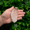 A large clear quartz point in the palm of a hand with a green, leafy background. It is quite large. Labeled 'H'.